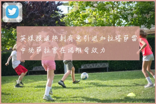 英媒报道热刺有意引进加拉塔萨雷中场萨拉曾在诺维奇效力