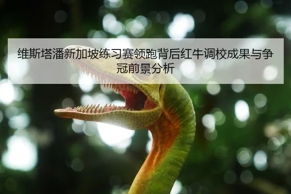 维斯塔潘新加坡练习赛领跑背后红牛调校成果与争冠前景分析